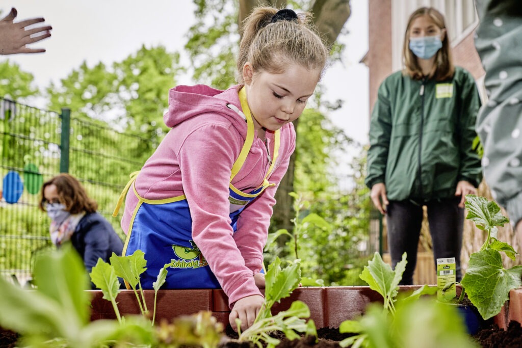 Kind bepflanzt Gemüsebeet in Kita
