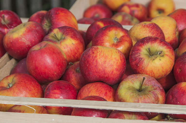 EDEKA Georg, Idstein, Äpfel, Zwetschgen, Five apples a day, Vitamine