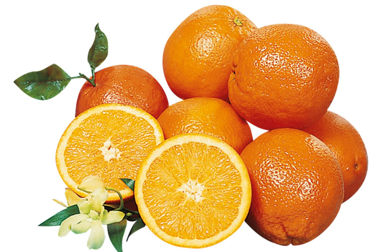 Orangen, Zitrusfrüchte