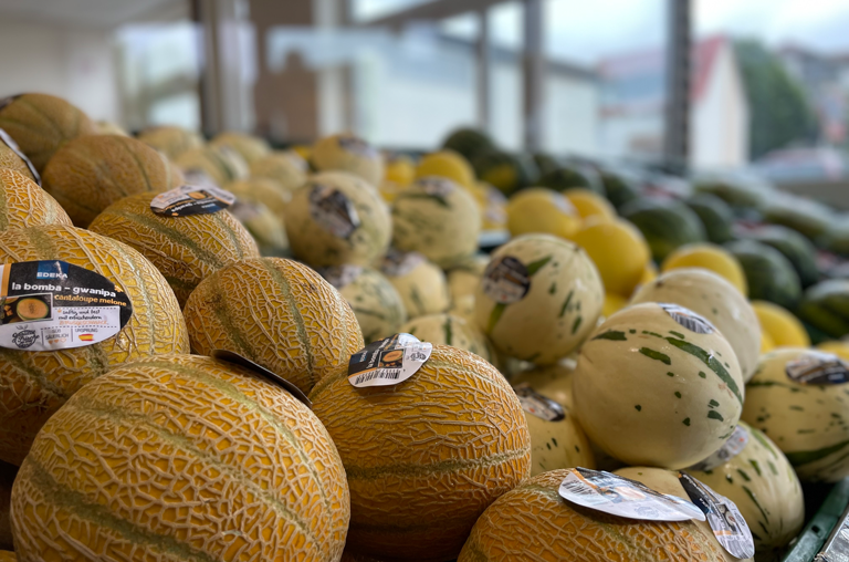 Melonen La Bomba und Honigmelone