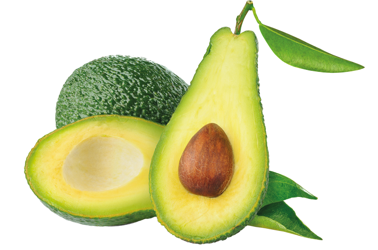 Avocado