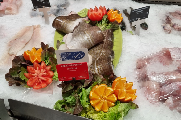 Frischer Skrei in der Auslage EDEKA Georg Weißkirchen