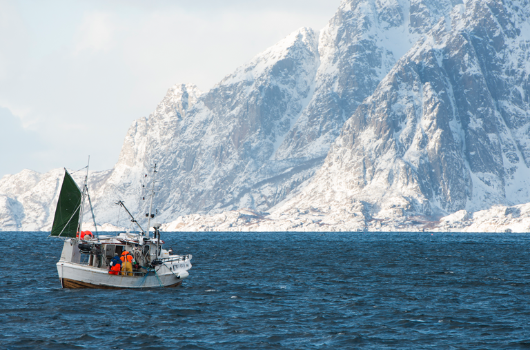 Kleines Fischerboot in den Lofoten auf Skreifang