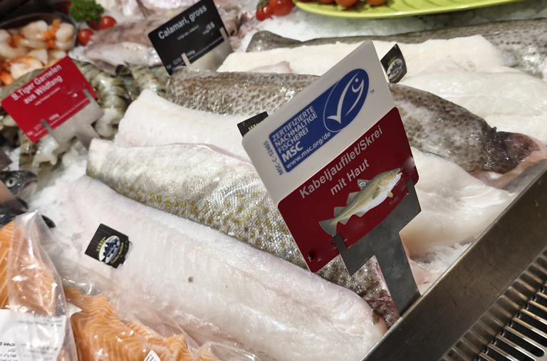 Skrei in der Fischetheke EDEKA Georg in Riedberg