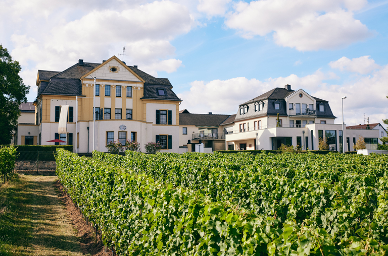 Das Weingut Spreitzer in Oestrich im Rheingau