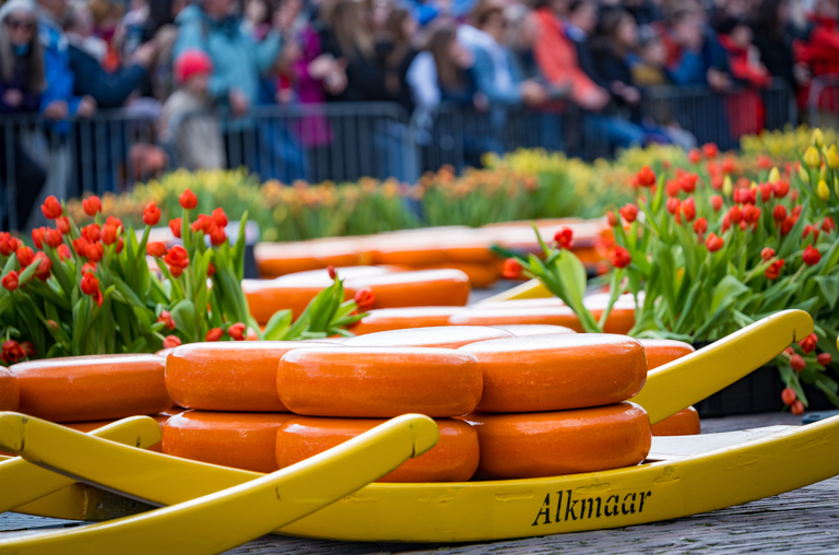 Gouda-Räder auf einer Holzwiege auf dem Markt in Alkmaar