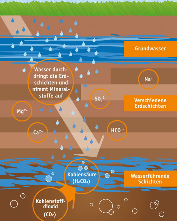 Eine Grafik, die den Weg vom Regentropfen bis zum fertigen Mineralwasser zeigt