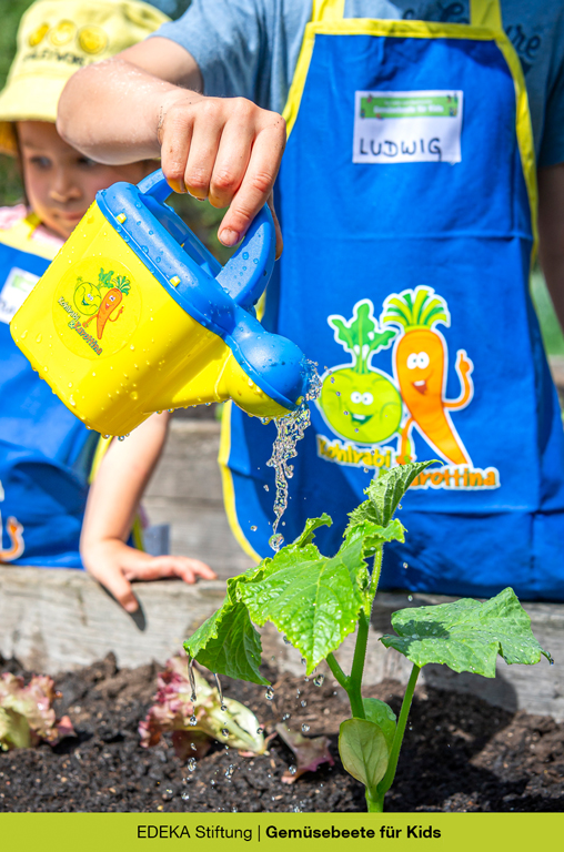 Gemüsebeete für Kids Plakatmaterial