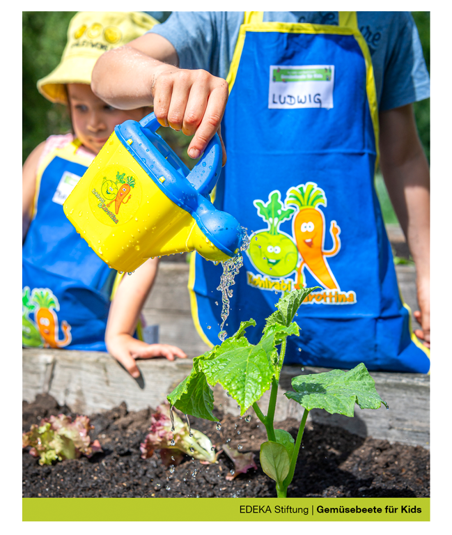 Gemüsebeete für Kids Plakatmaterial