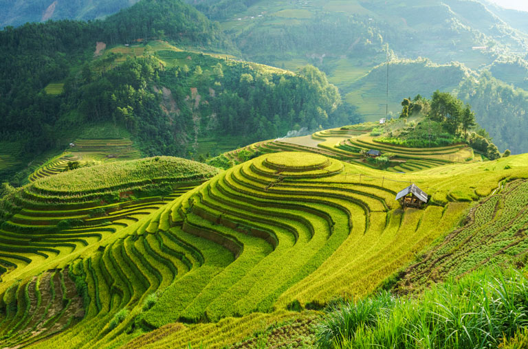 Berge mit Terrassenfeldern in Asien