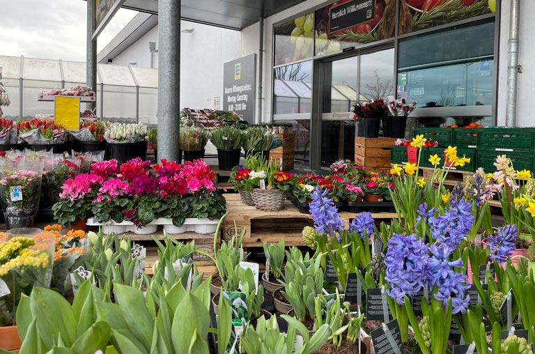 Blumenvielfalt im Markt