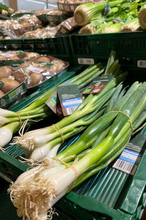 EDEKA Georg internationales Sortiment; Frühlingszwiebeln