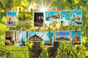 Wein-Tasting: EDEKA Georgs Weinreise durch Europa