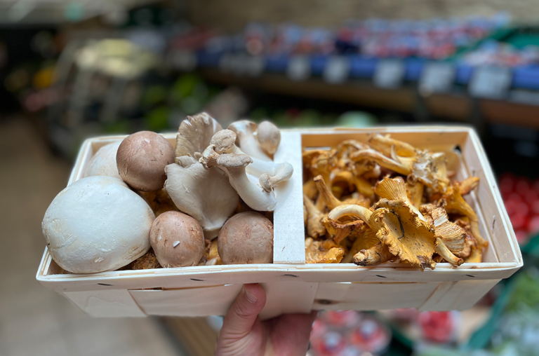 Pilze - Champignons und Pfifferlinge
