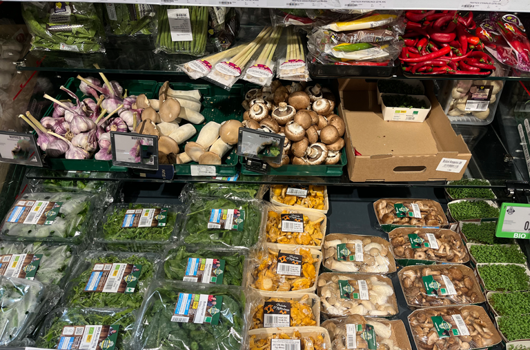 Pilzvielfalt bei EDEKA Georg 2