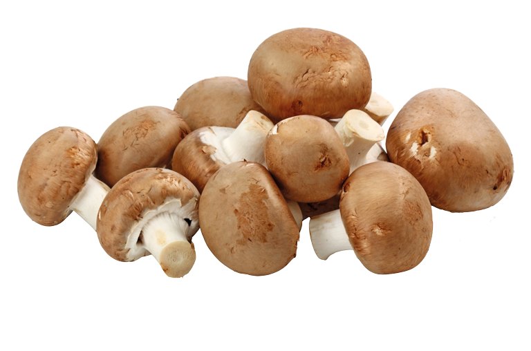Champignons