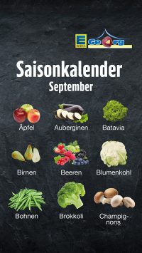 saisonkalender_September_2025_story-min